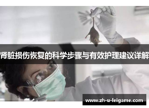 肾脏损伤恢复的科学步骤与有效护理建议详解