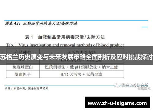 苏格兰历史演变与未来发展策略全面剖析及应对挑战探讨 苏格兰历史演变与未来发展策略全面剖析及应对挑战探讨